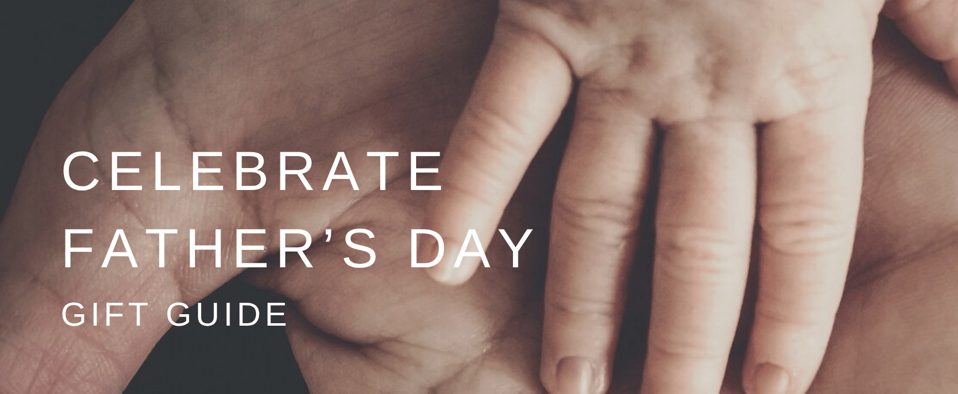 Father's Day Gift Guide