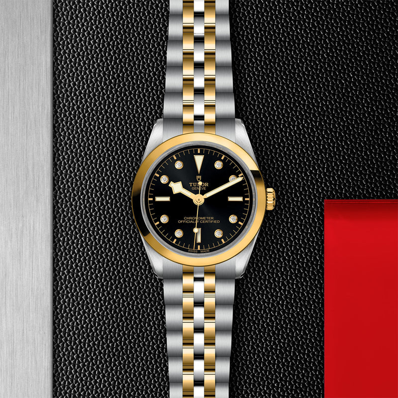TUDOR Black Bay 36 S&G-TUDOR Black Bay S&G watch