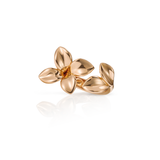 Pasquale Bruni Giardini Segreti Ring-Pasquale Bruni Giardini Segreti Ring 16672R
