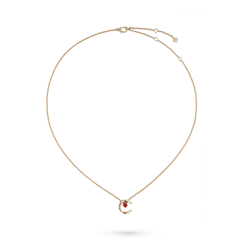 CHANEL Coco Necklace-CHANEL Coco Necklace - J13043