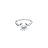 Daniel K Platinum Diamond Engagement Ring-Daniel K Platinum Diamond Engagement Ring - DRDAN00604