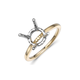 Diamond Mounting Ring-Diamond Mounting Ring - DMRTJ00046