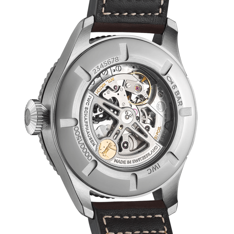 IWC Schaffhausen Pilot's Watch Timezoner Edition 