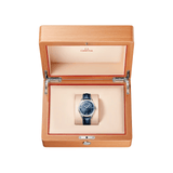 Omega Constellation Observatory 39mm-Omega Constellation Observatory 39mm 140.13.39.21.03.001