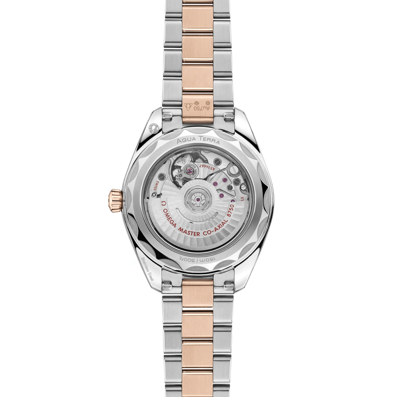Omega Seamaster Aqua Terra 150m 30mm-Omega Seamaster Aqua Terra 150m 30mm - 220.20.30.20.10.002