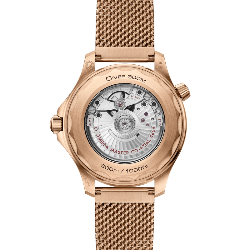 Omega Seamaster Diver 300m 42mm-Omega Seamaster Diver 300m 42mm - 210.90.42.20.01.003