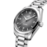 Omega Seamaster Railmaster 38mm-Omega Seamaster Railmaster 38mm - 235.10.38.20.06.001