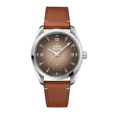Omega Seamaster Railmaster 38mm-Omega Seamaster Railmaster 38mm - 235.12.38.20.13.001