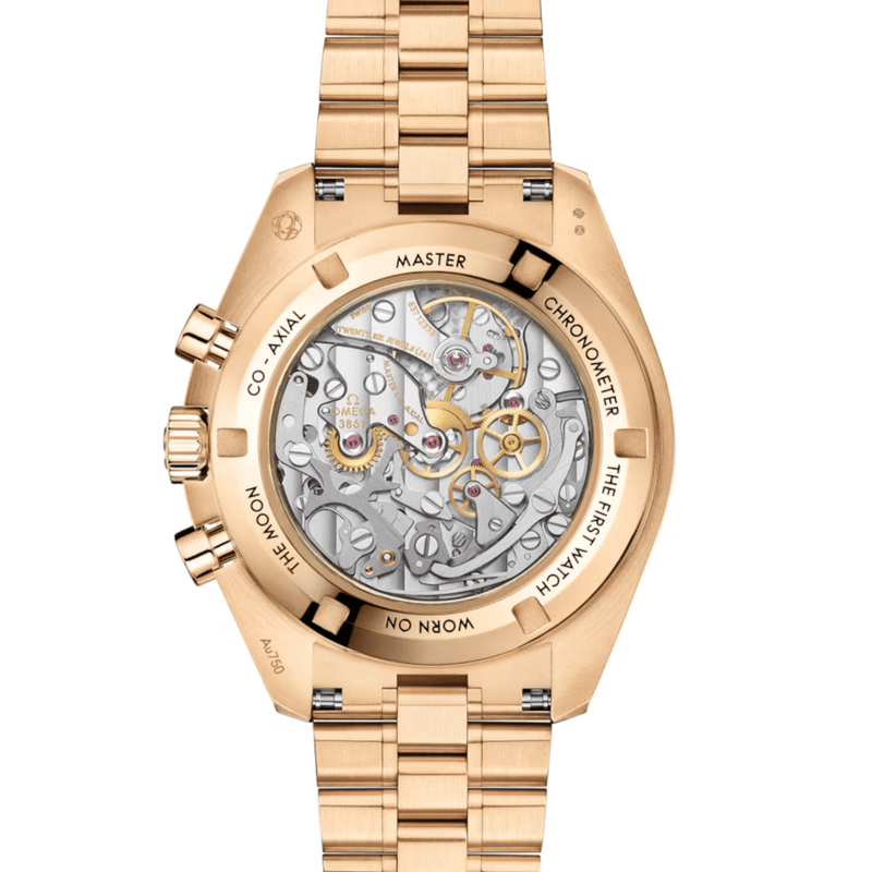 Omega Speedmaster Moonwatch Professional 42mm-Omega Speedmaster Moonwatch Professional 42mm 310.60.42.50.01.002