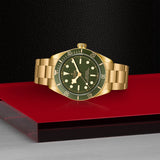 TUDOR Black Bay 58 18K-TUDOR Black Bay 58 18K - M79018V-0006