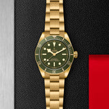 TUDOR Black Bay 58 18K-TUDOR Black Bay 58 18K - M79018V-0006