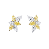 Yellow Diamond Pear-shaped Cluster Earrings-Yellow Diamond Pear-shaped Cluster Earrings DENOV00281