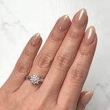 Memoire Bouquet Diamond Ring-Memoire Bouquet Diamond Ring - MBQ74R-0075TW