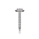 Michael M Diamond Mounting-Michael M Diamond Mounting -