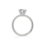 Michael M Diamond Mounting-Michael M Diamond Mounting -