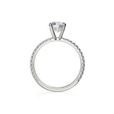 Michael M Diamond Mounting-Michael M Diamond Mounting -