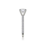 Michael M Diamond Mounting-Michael M Diamond Mounting -