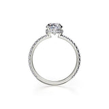 Michael M Diamond Mounting-Michael M Diamond Mounting -