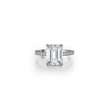 Michael M Diamond Mounting-Michael M Diamond Mounting -