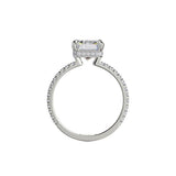 Michael M Diamond Mounting-Michael M Diamond Mounting -
