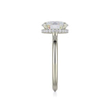 Michael M Diamond Mounting-Michael M Diamond Mounting -