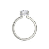 Michael M Diamond Mounting-Michael M Diamond Mounting -