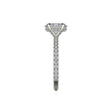 Michael M Diamond Mounting-Michael M Diamond Mounting -