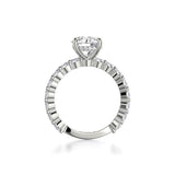 Michael M Diamond Mounting-Michael M Diamond Mounting -