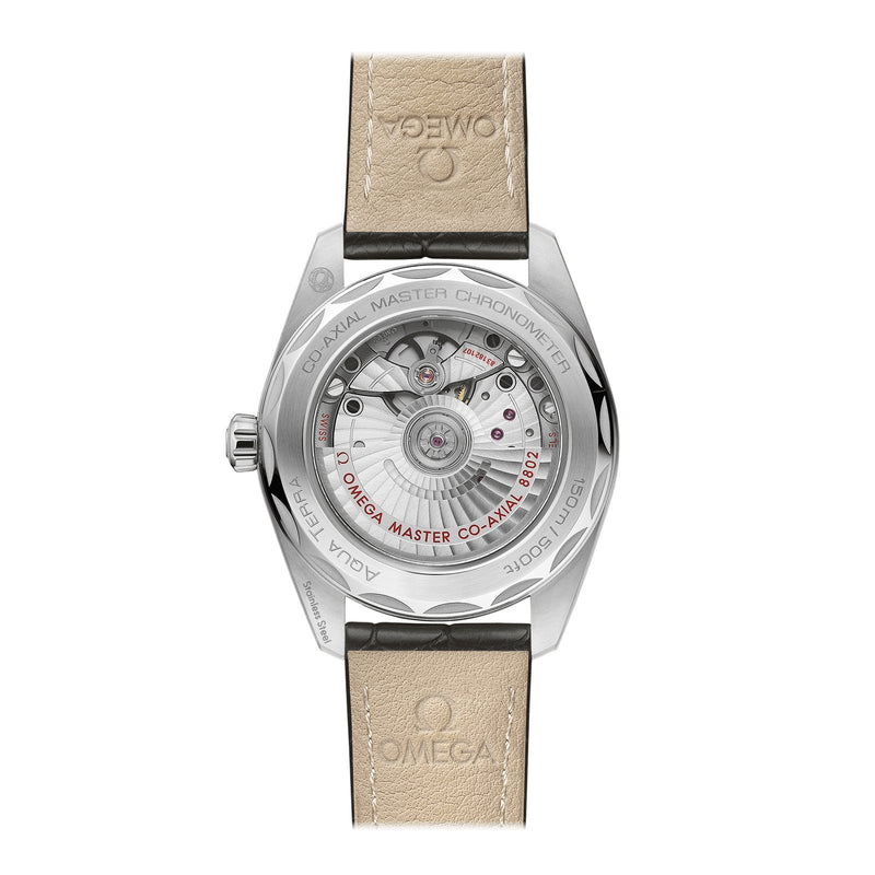Omega Seamaster Aqua Terra 150m 38mm - Small Seconds-Omega Seamaster Aqua Terra 150m Co-axial Master Chronometer Small Seconds - 220.13.38.20.60.001