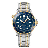 Omega Seamaster Diver 300 42mm-Omega Seamaster Diver 300M Co-Axial Master Chronometer 42 mm -