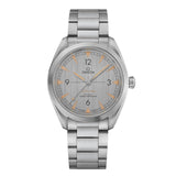 Omega Seamaster Railmaster 40mm-Omega Seamaster Railmaster Omega Co-Axial Master Chronometer 40mm -