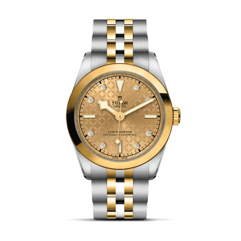 TUDOR Black Bay 31 S&G-TUDOR Black Bay 31 S&G 31mm Steel and Yellow Gold - M79603-0004