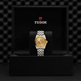 TUDOR Black Bay 31 S&G-TUDOR Black Bay 31 S&G Steel and Gold - M79603-0008