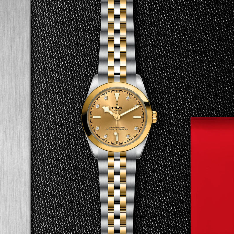 TUDOR Black Bay 31 S&G-TUDOR Black Bay 31 S&G Steel and Gold - M79603-0008