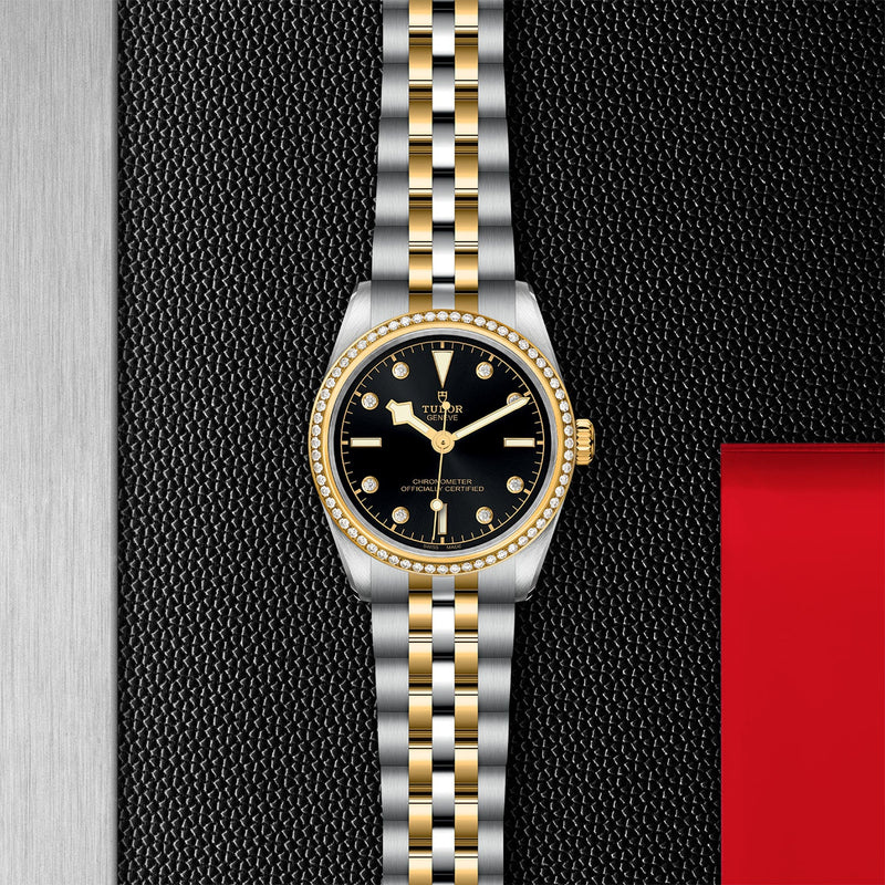 TUDOR Black Bay 31 S&G-TUDOR Black Bay 31 S&G Steel and Gold - M79613-0005