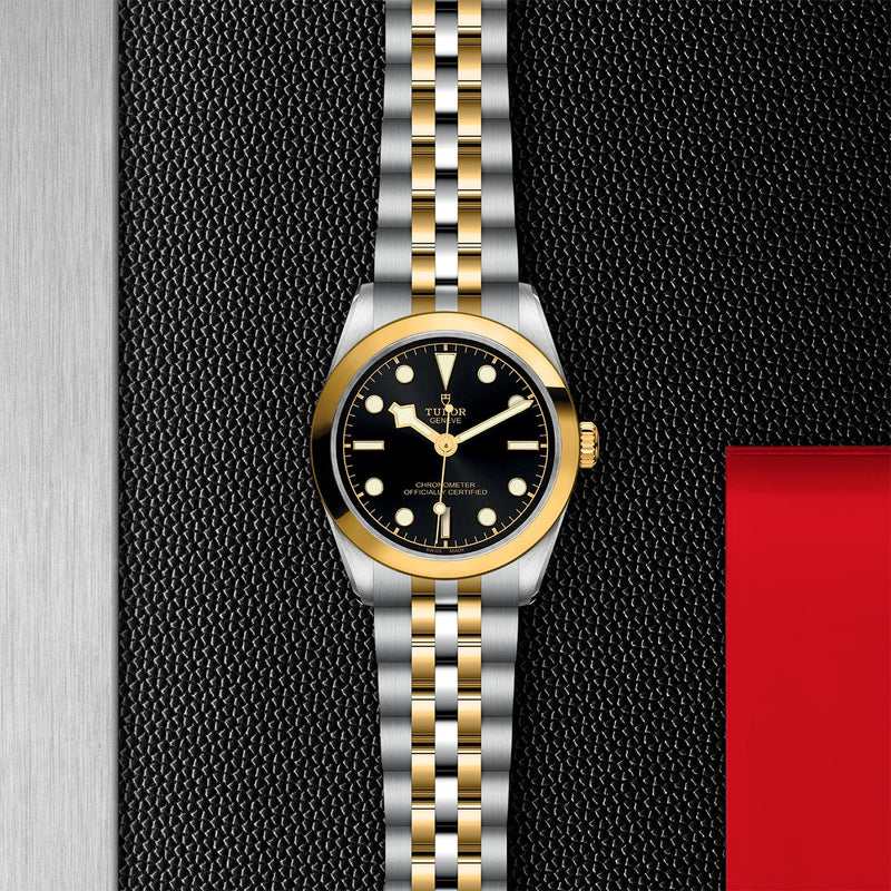 TUDOR Black Bay 31 S&G-TUDOR Black Bay 31 S&G Steel and Yellow Gold - M79603-0001