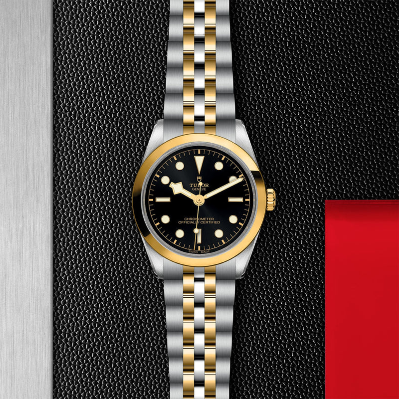 TUDOR Black Bay 36 S&G-TUDOR Black Bay 36 S&G Steel and Yellow Gold - M79643-0001
