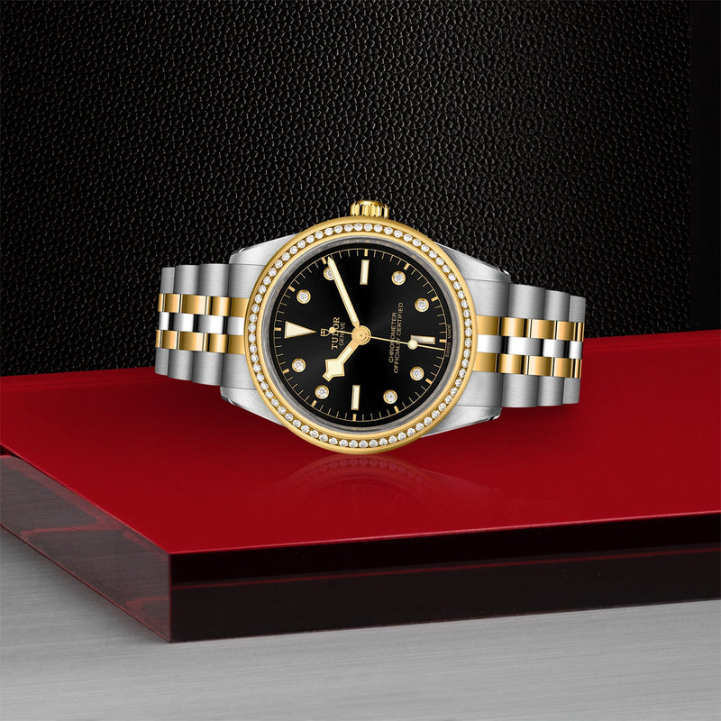 TUDOR Black Bay 39 S&G-TUDOR Black Bay 39 S&G Steel and Gold - M79673-0005