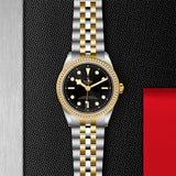 TUDOR Black Bay 39 S&G-TUDOR Black Bay 39 S&G Steel and Yellow Gold - M79673-0001